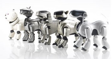 ソニー、顔が金色の限定「aibo（アイボ）」11台をチャリティー