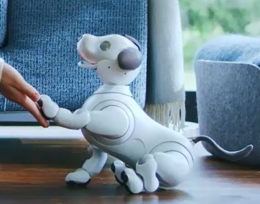 SONY aibo（ソニー アイボ）の予約ができない! でも今すぐ購入